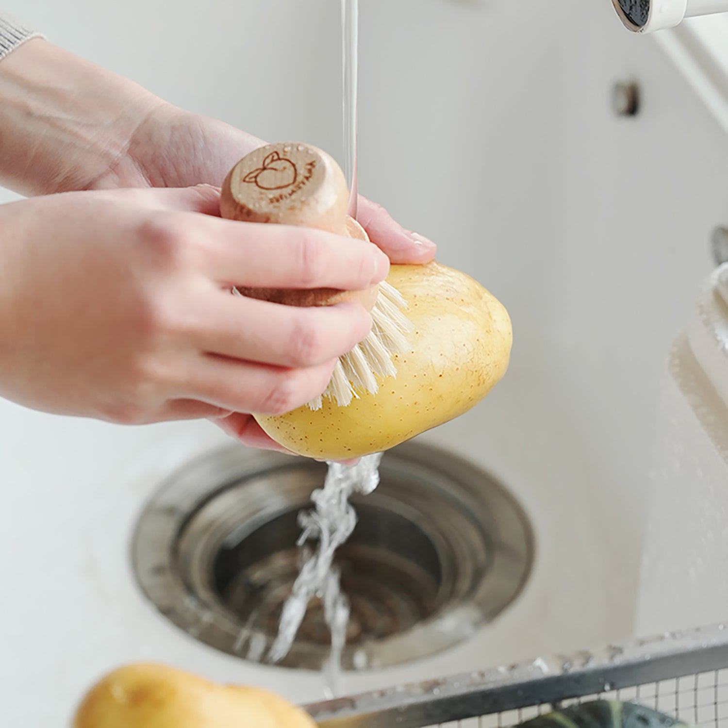 Brosse à légumes et fruit Shimoyama
