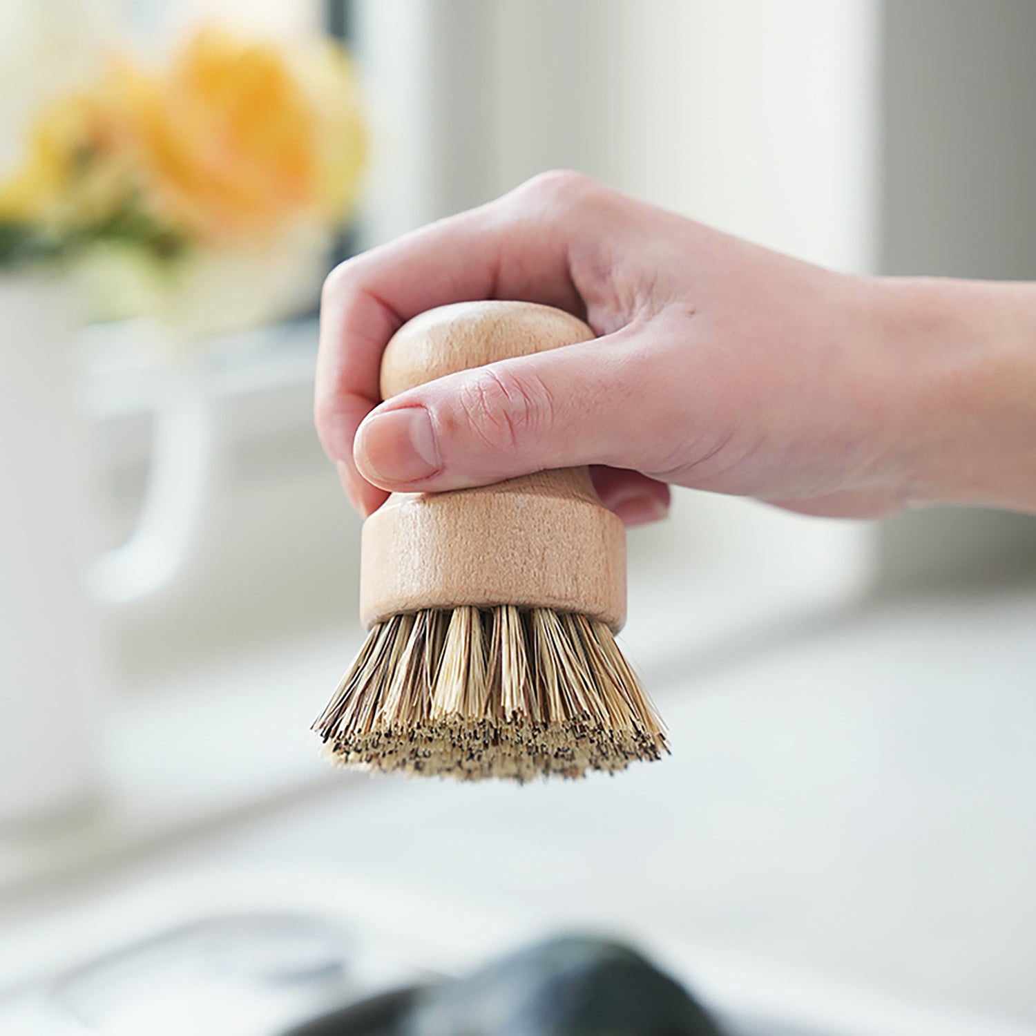 Brosse à légumes et fruit Shimoyama