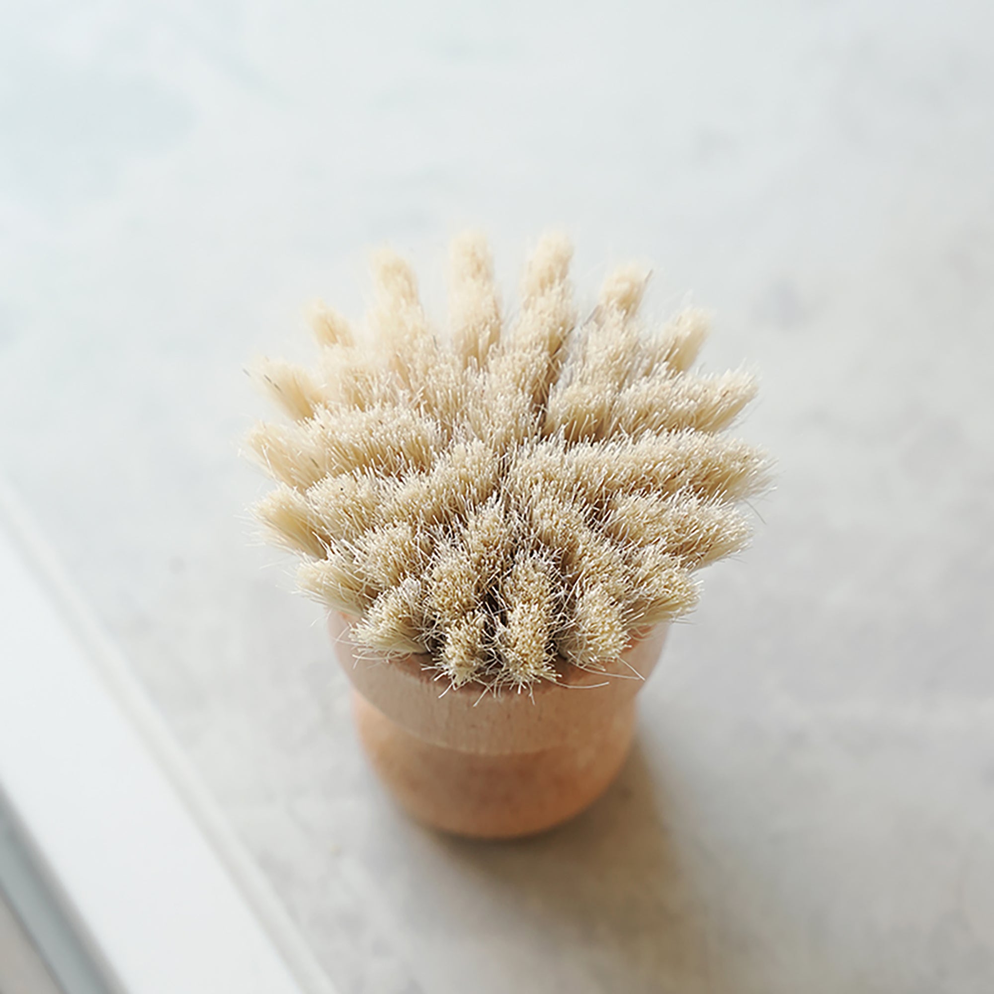 Brosse à légumes et fruit Shimoyama