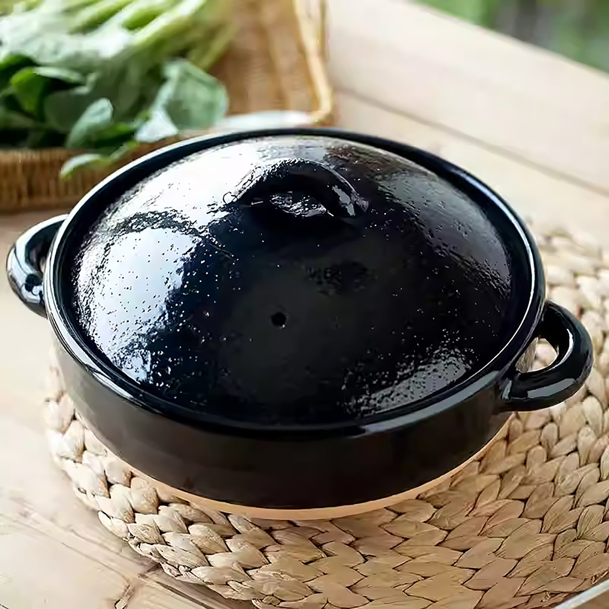 Donabe minimaliste Iga-yaki