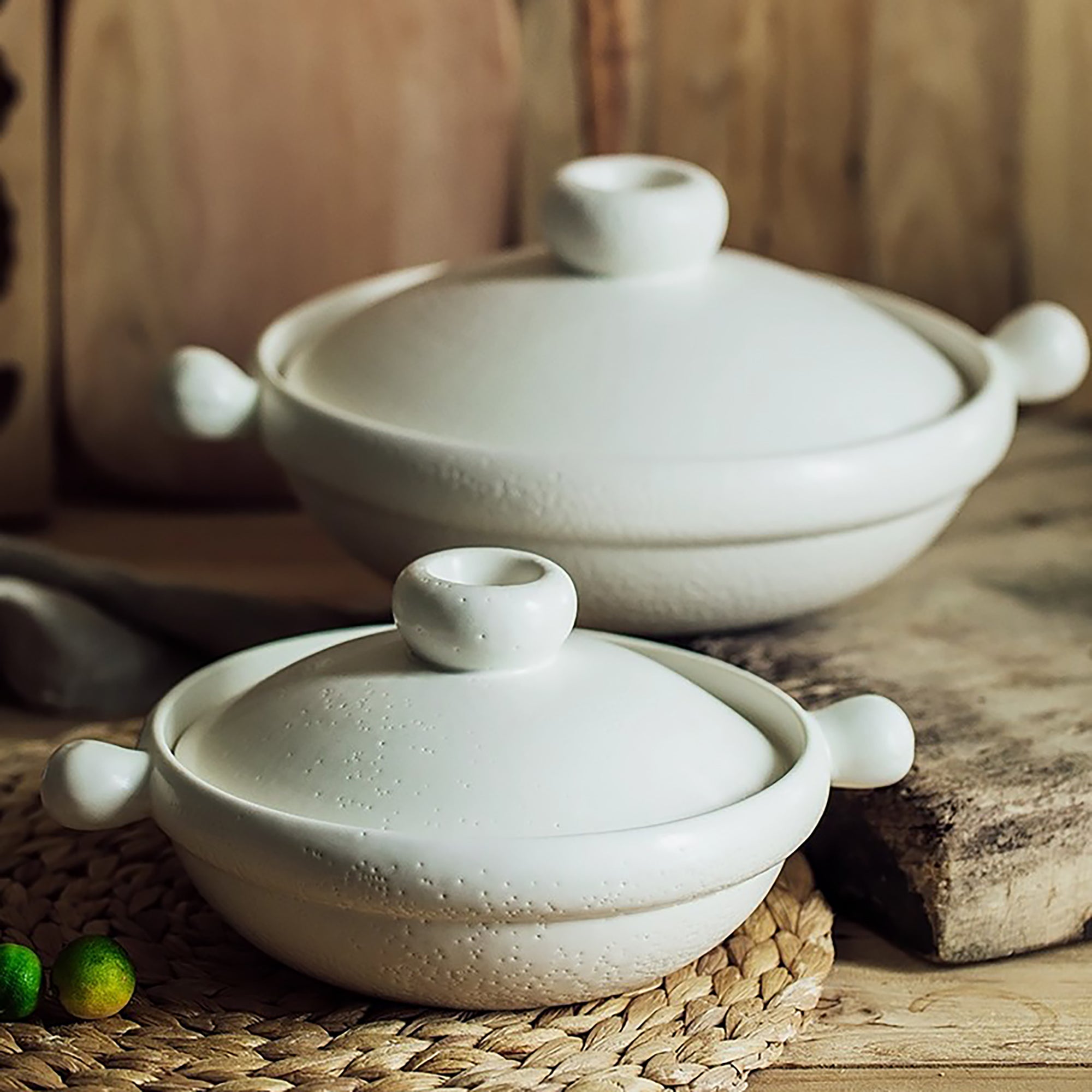 Donabe minimaliste Banko-yaki à poignées arrondies