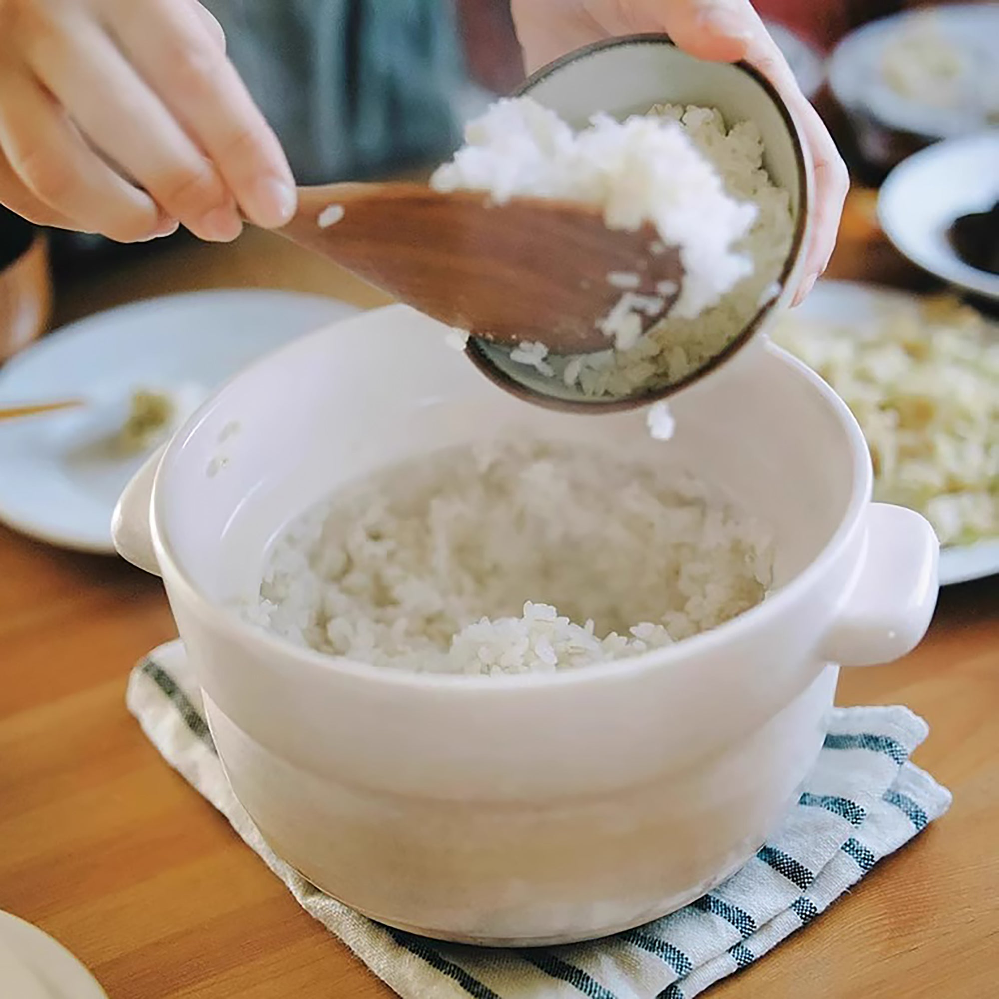 Donabe KAMOSHIKA en céramique Banko