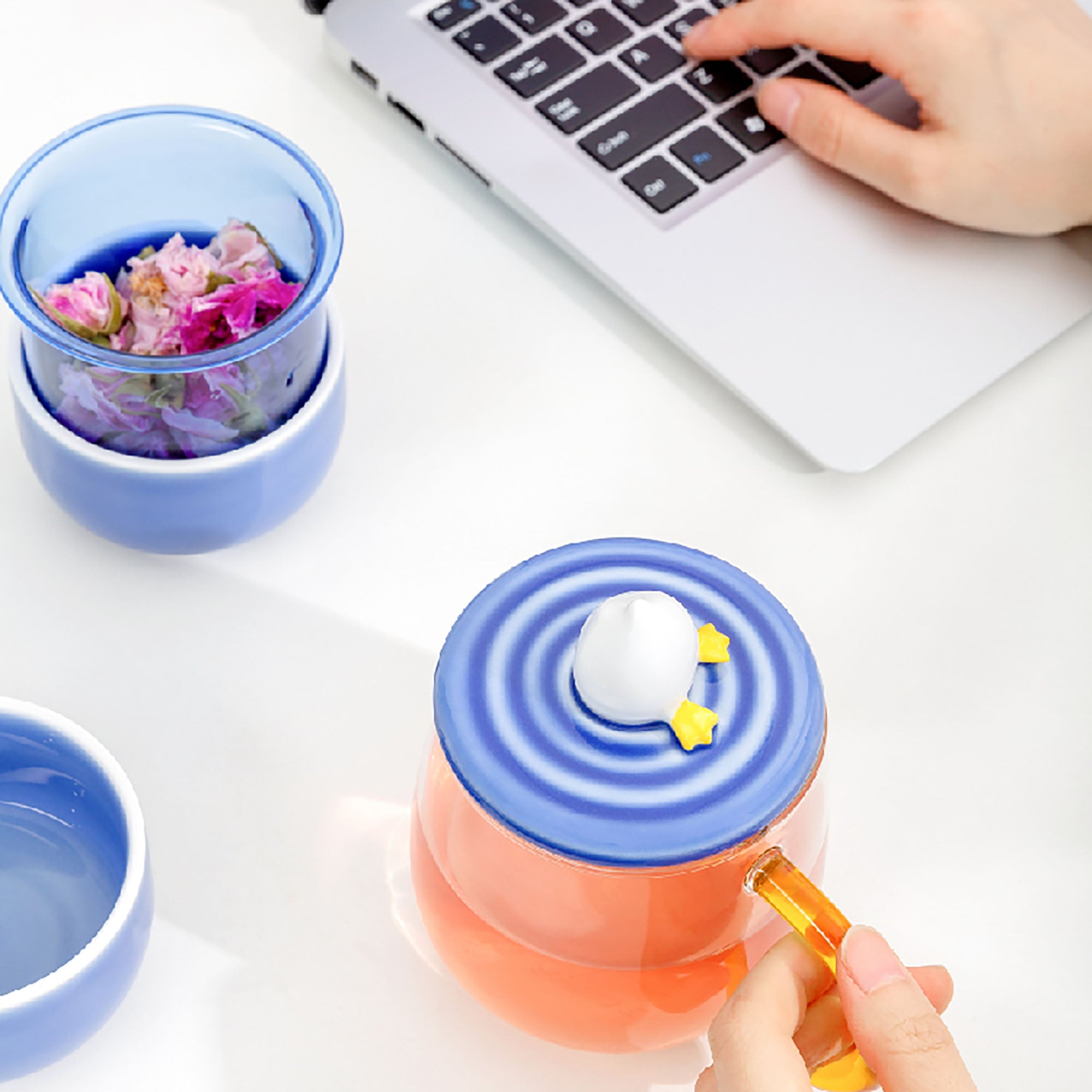 MUG-OIE-VERRE