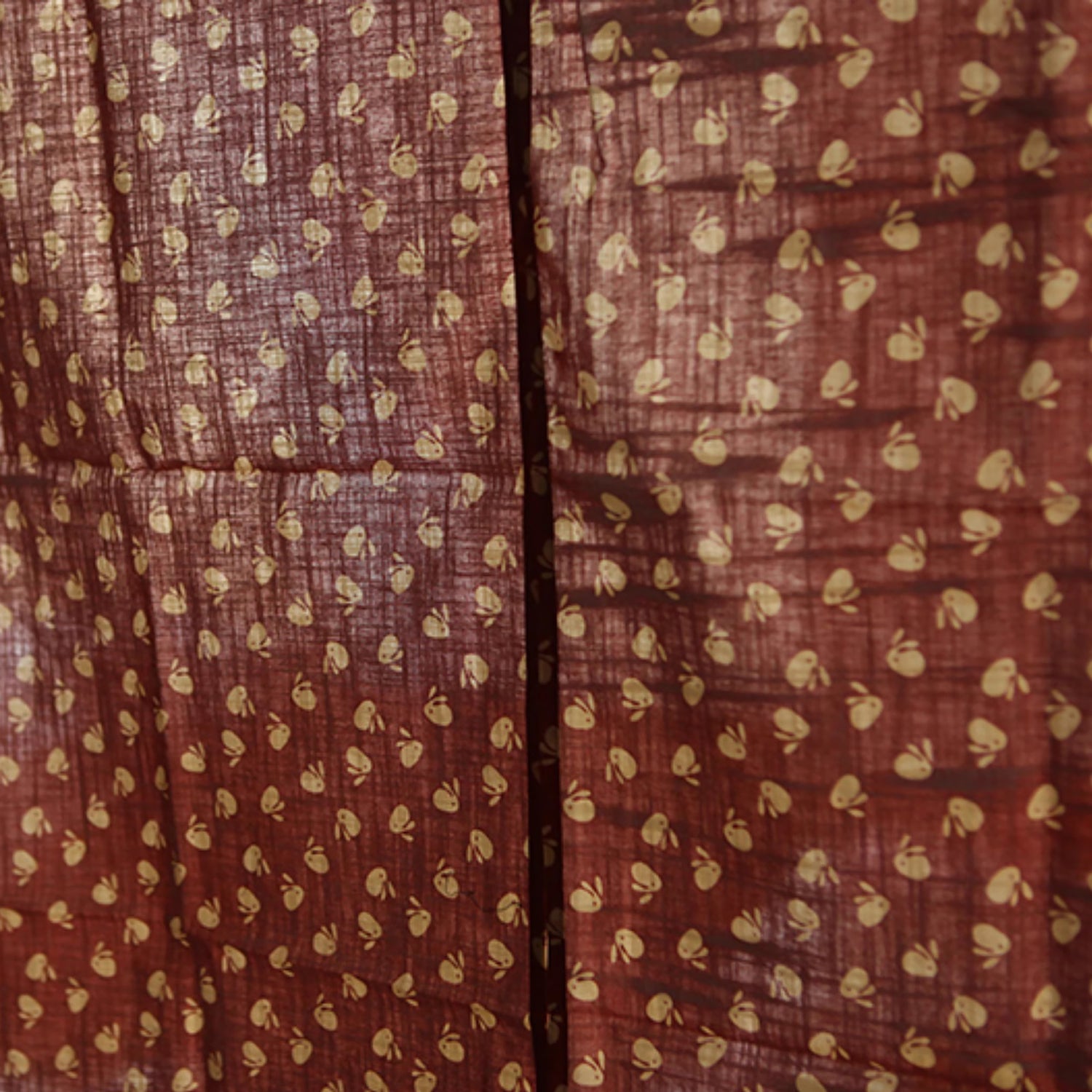 Noren japonais en coton avec design semi-transparent à deux pans