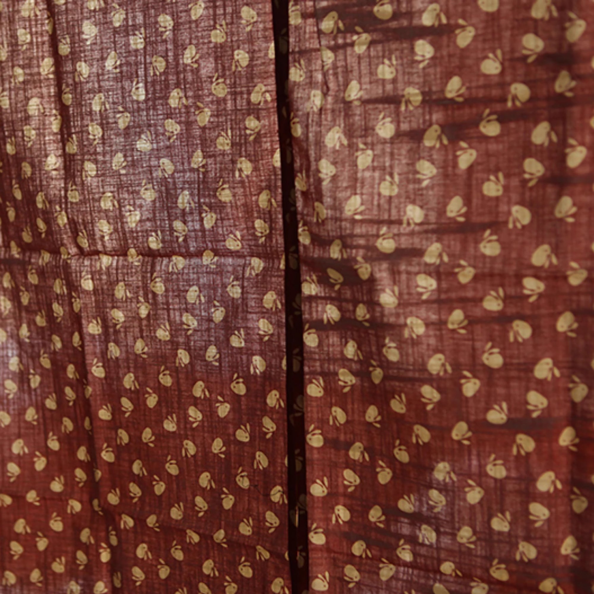 Noren japonais en coton avec design semi-transparent à deux pans