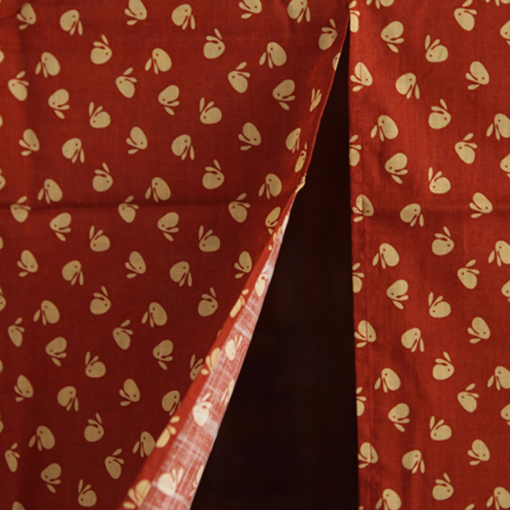 Noren japonais en coton avec design semi-transparent à deux pans