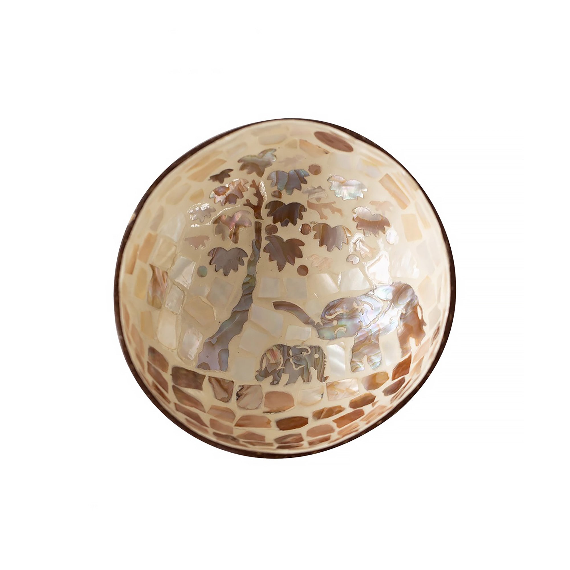 Bol artisanal en noix de coco et nacre