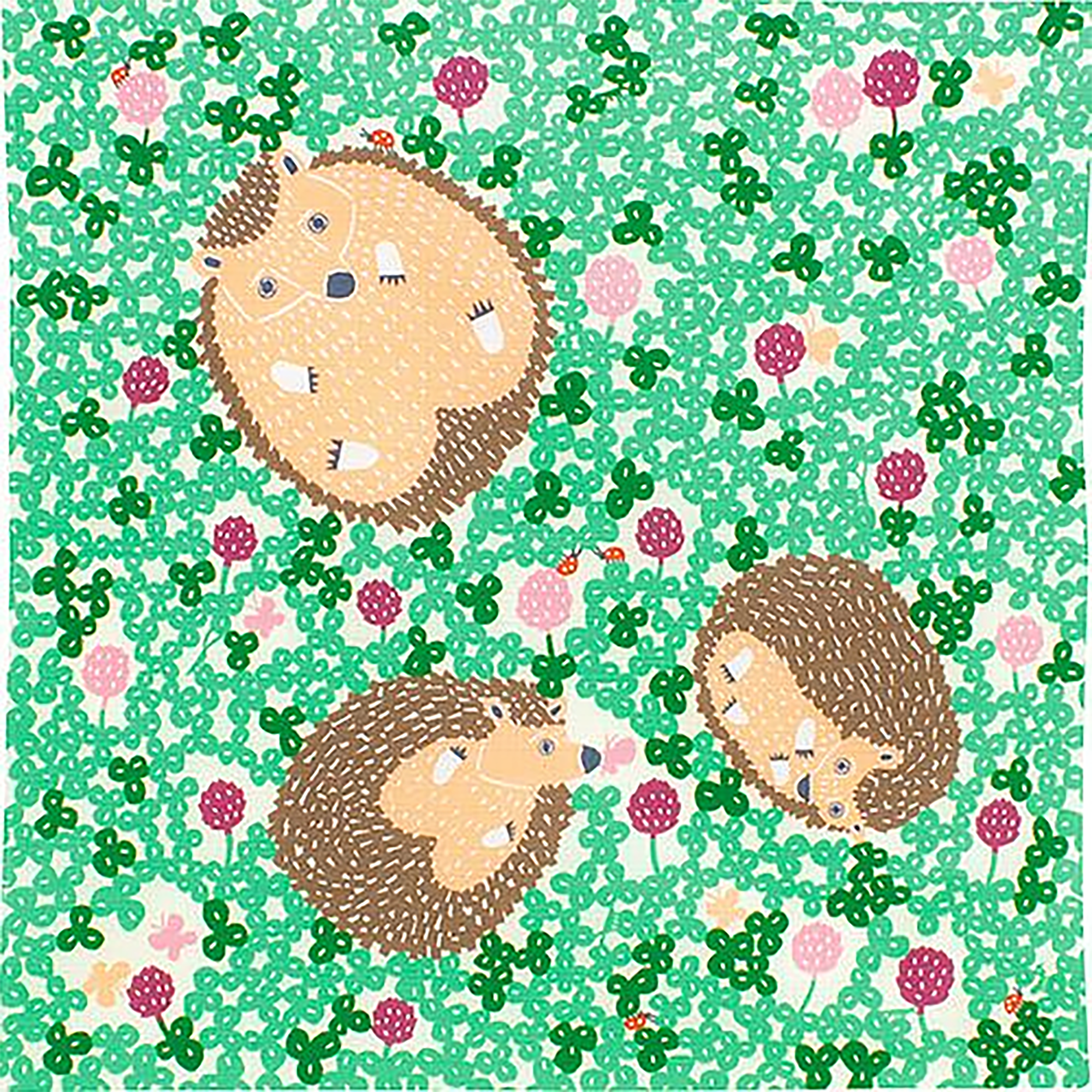Furoshiki japonais avec Design kata kata