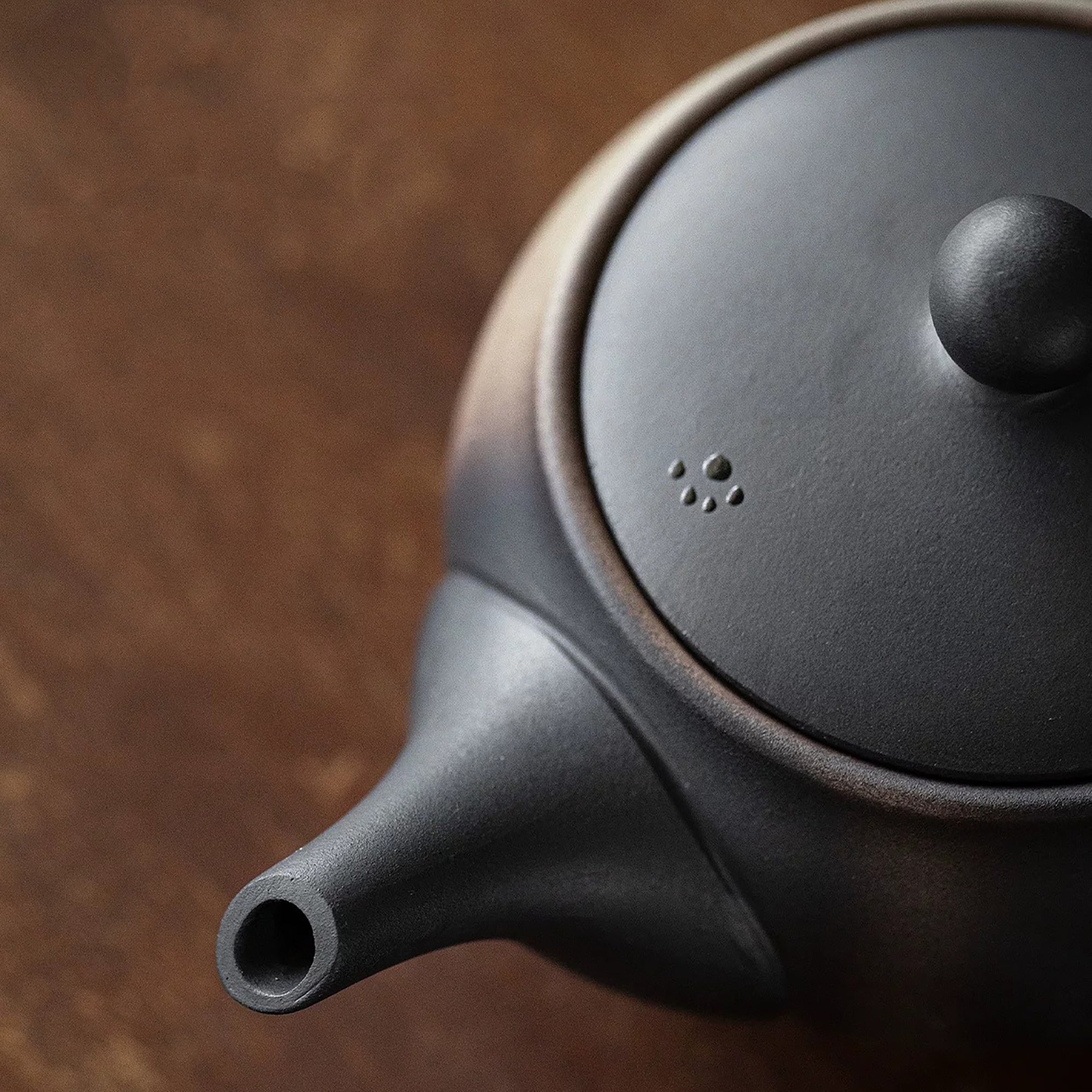 Théière kyusu latérale Tokoname-yaki motif chat noir