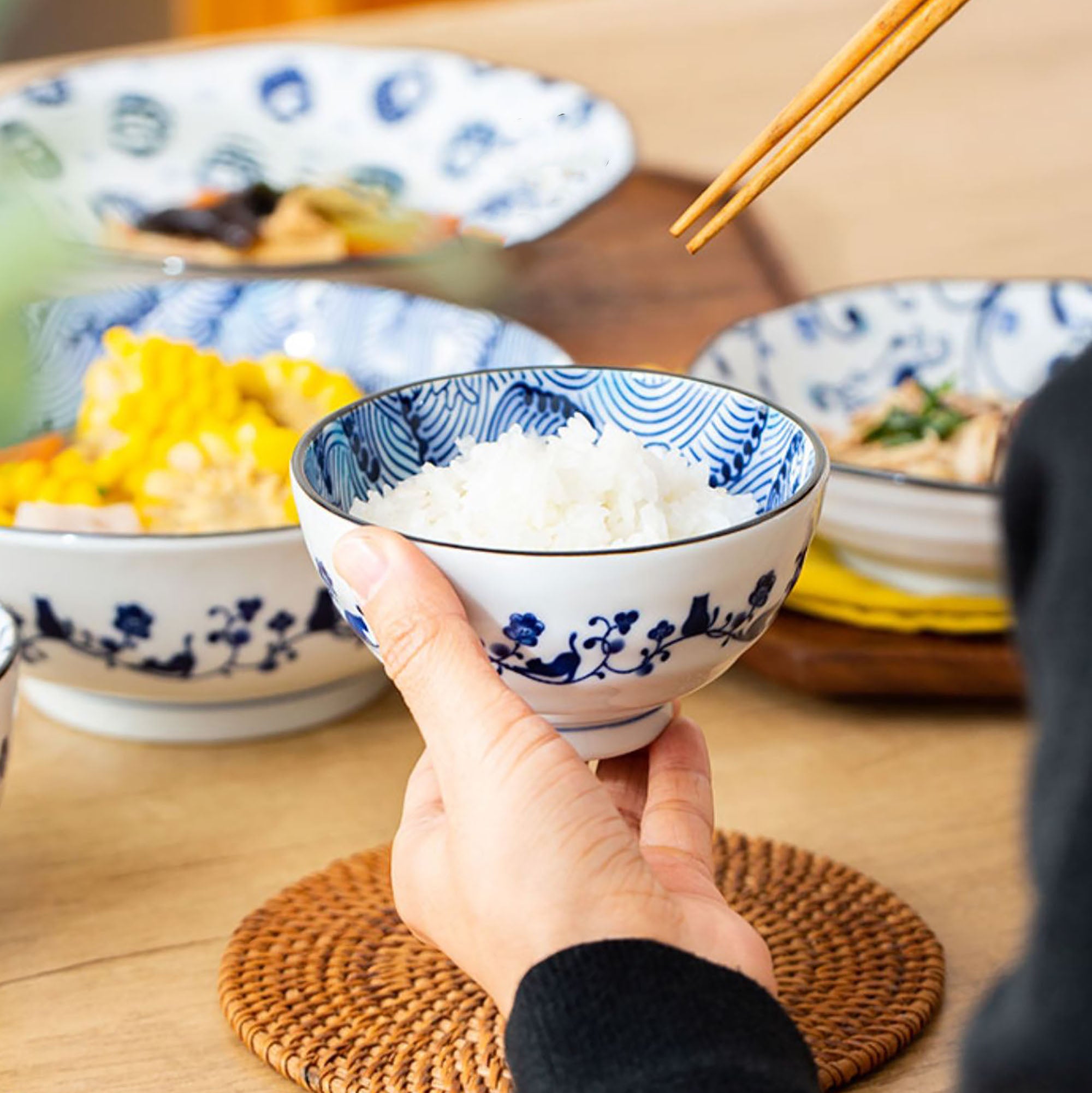 Ceramic Minoyaki Tableware with Cute Cats Pattern
