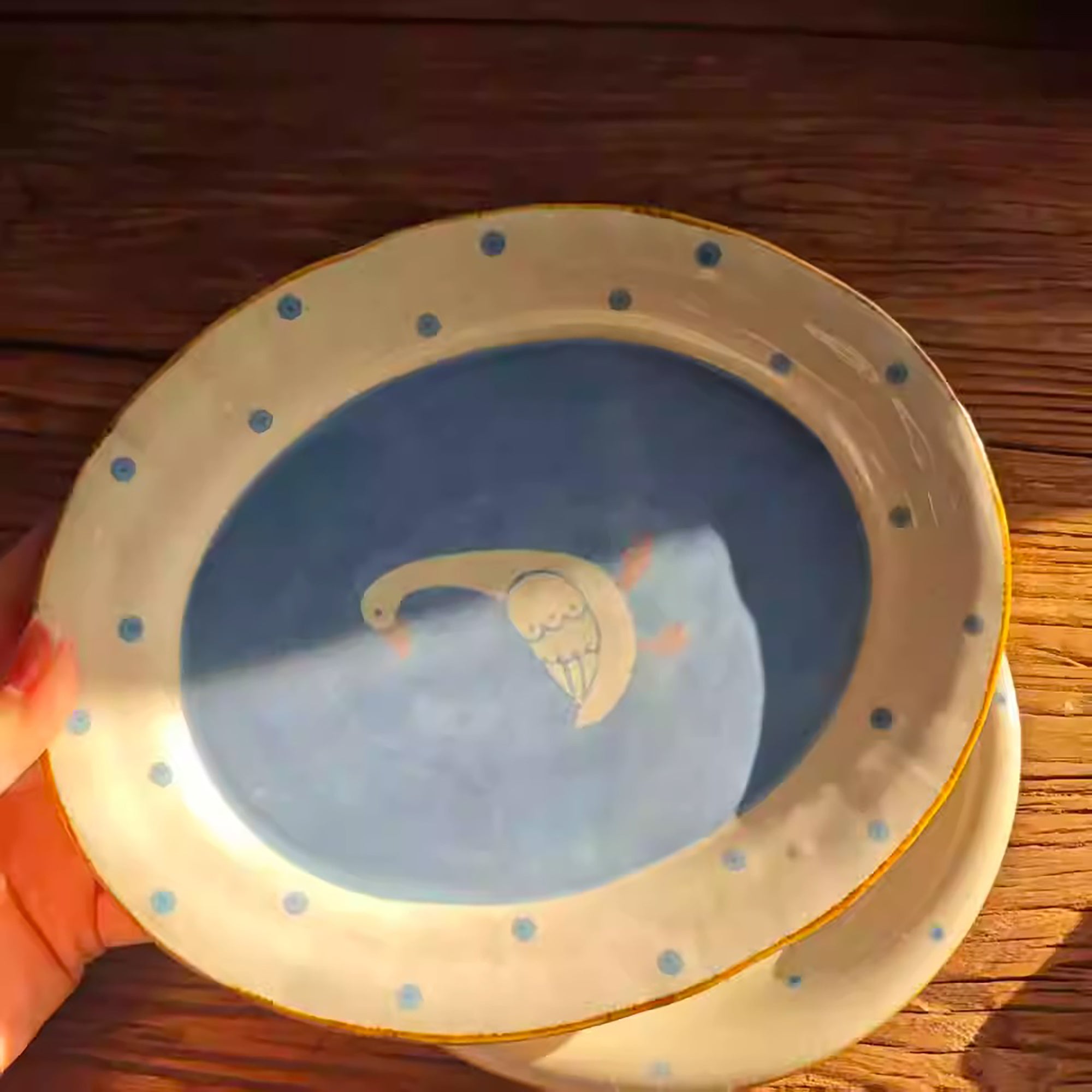 Assiette Minoyaki avec décor oie illustrée