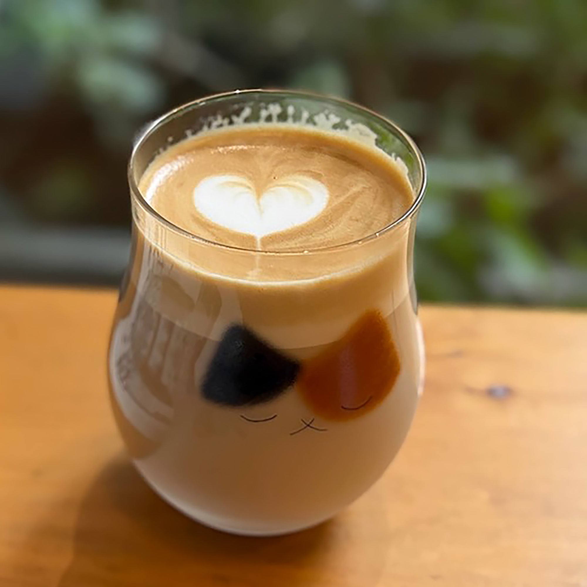 Verre Aderia avec motif chat