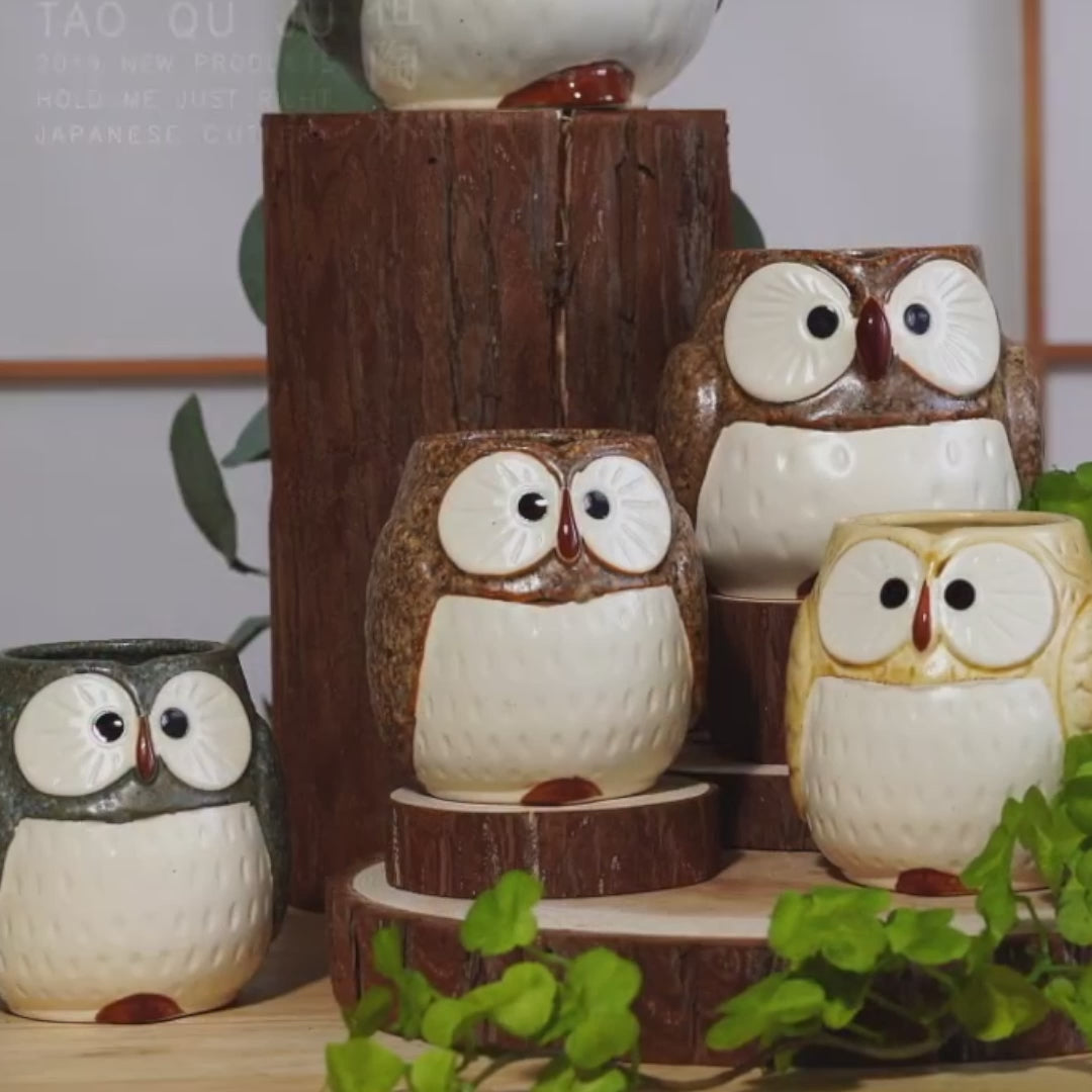 Théière avec un mignon design de hibou
