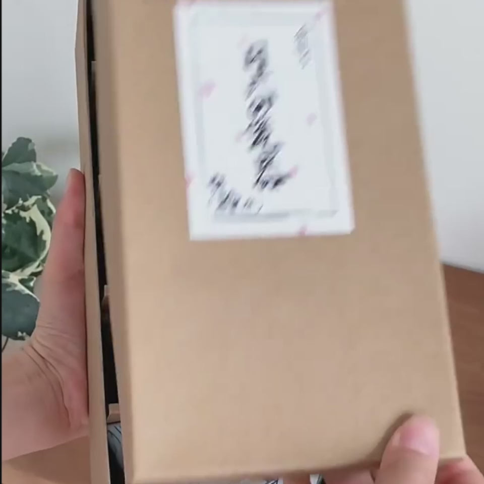 BOLS-LAPIN-BOX