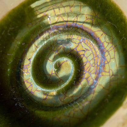 Assiette en céramique Setoyaki avec motifs floraux