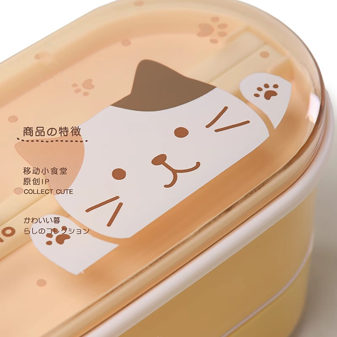 Japanese Bento Box with Adorable Patterns