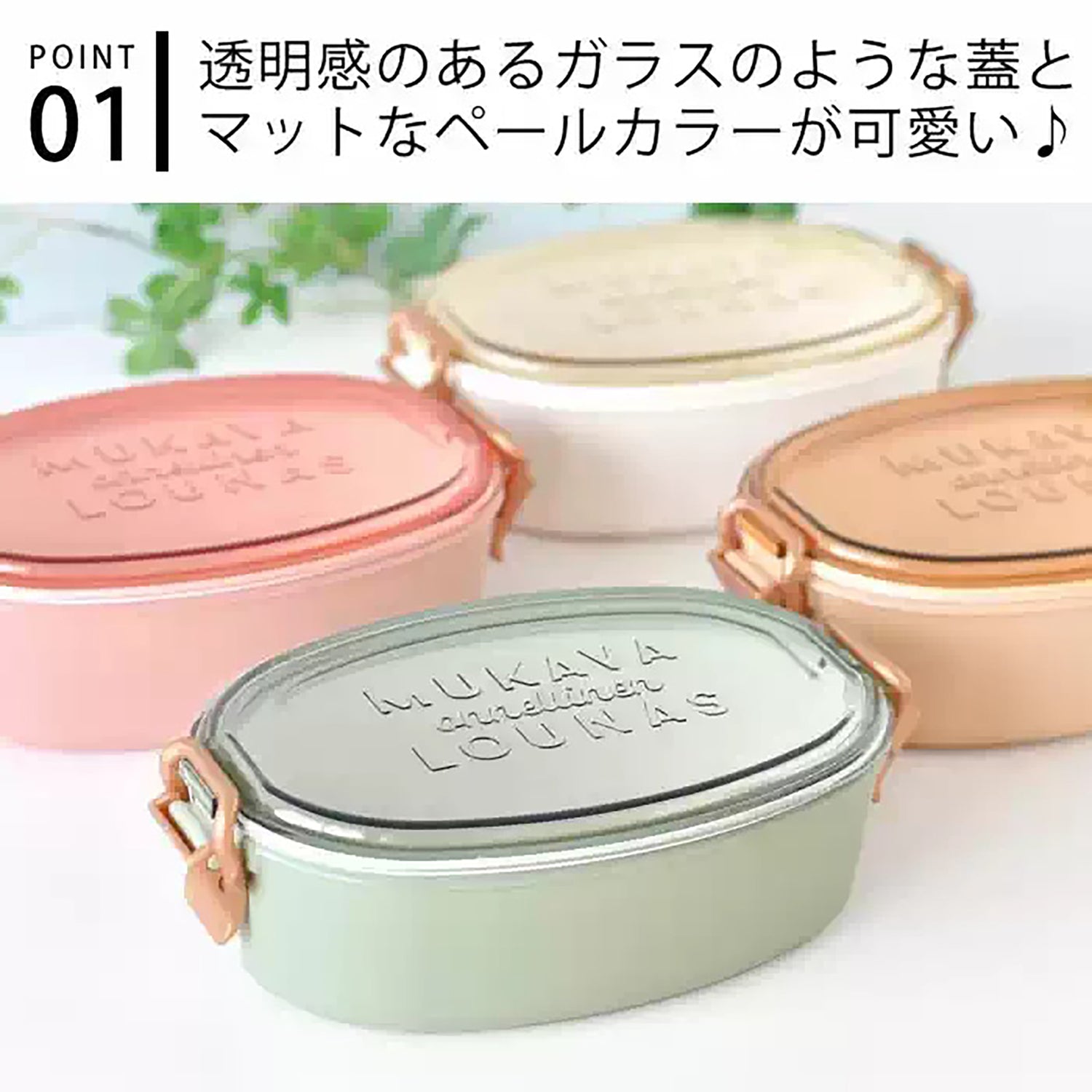 Boîte bento Sabu avec le couvercle transparent