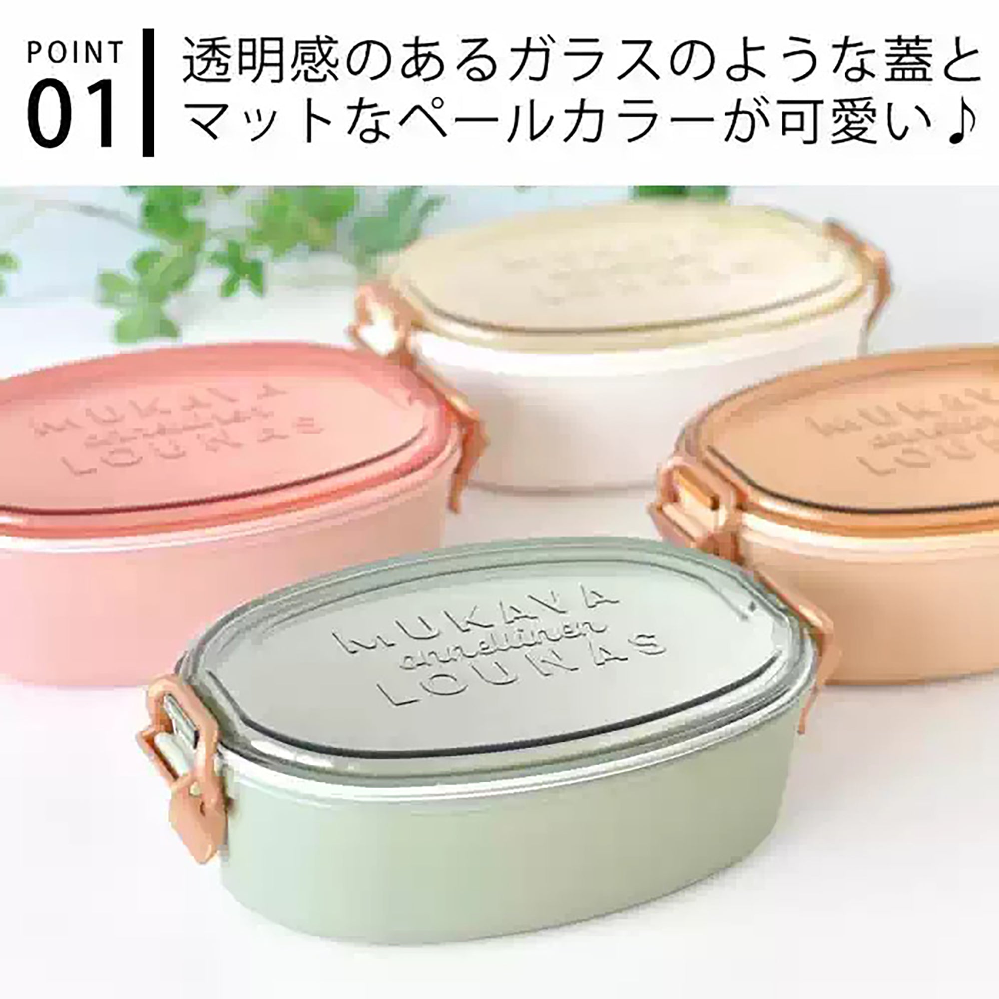 Boîte bento Sabu avec le couvercle transparent