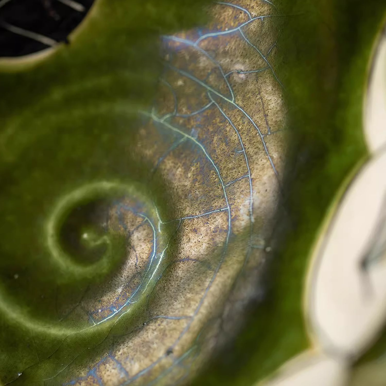 Bol Setoyaki Oribe vert motif camélia