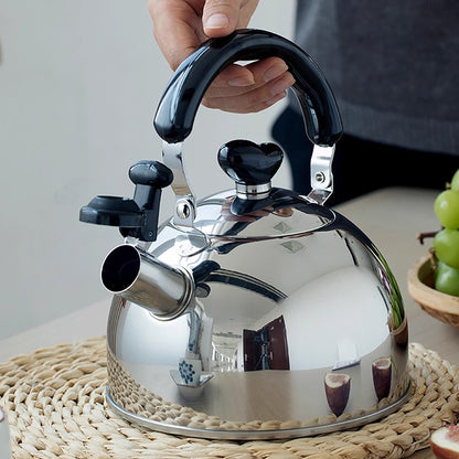 Bouilloire sifflante en acier inoxydable NAGAO de Tsubame Sanjo