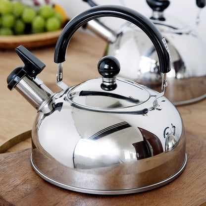 Bouilloire sifflante en acier inoxydable NAGAO de Tsubame Sanjo