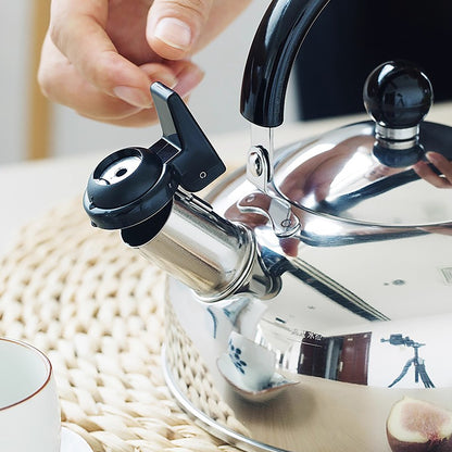 Bouilloire sifflante en acier inoxydable NAGAO de Tsubame Sanjo