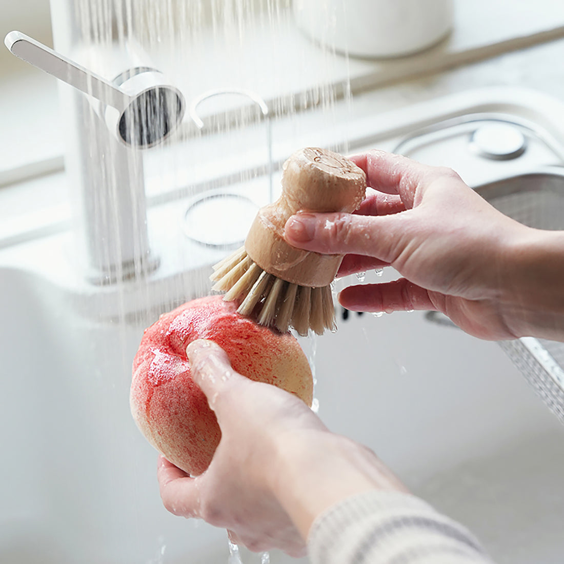 Brosse à légumes et fruit Shimoyama
