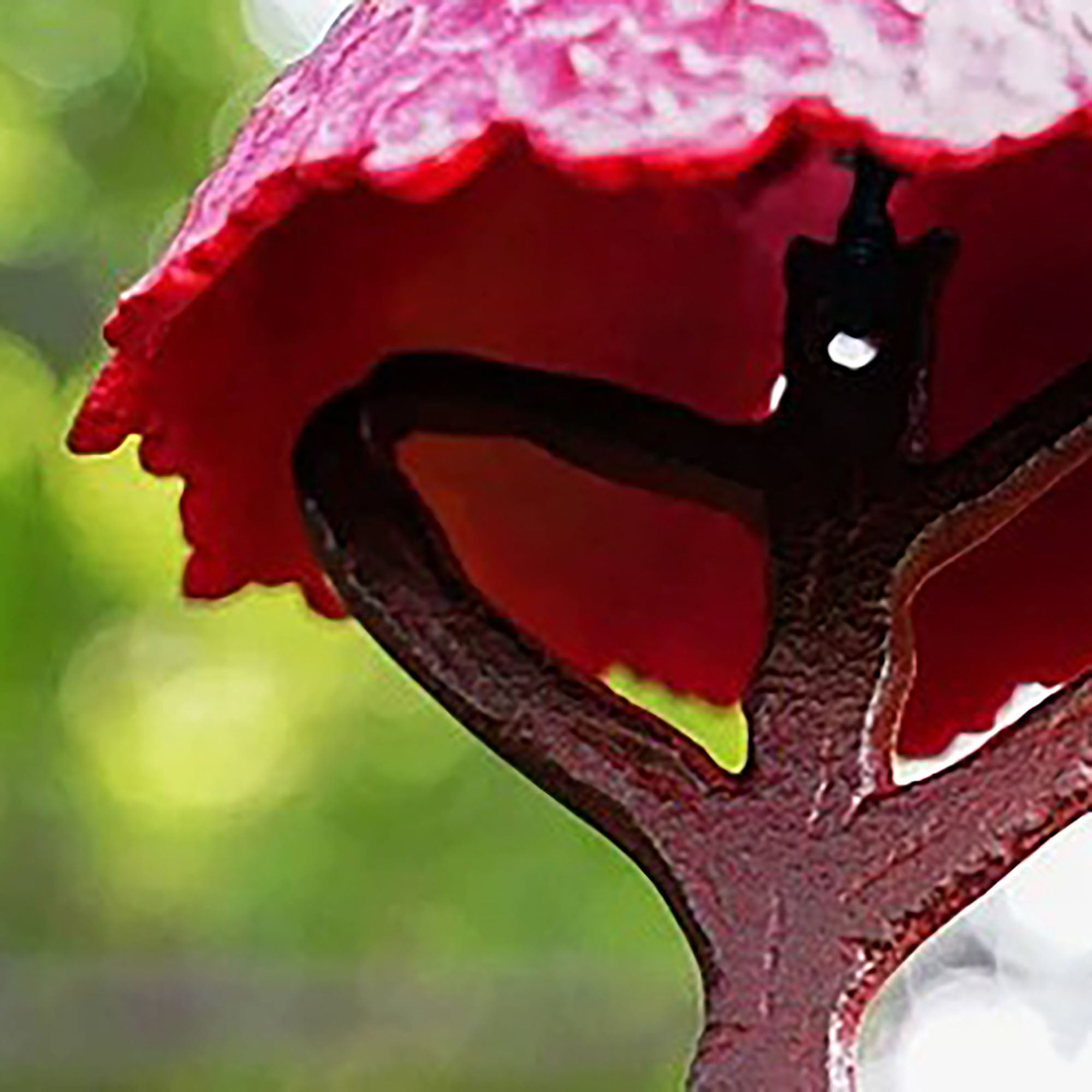 Carillon japonais en fonte Nambu Tekki – Cerisier en fleurs