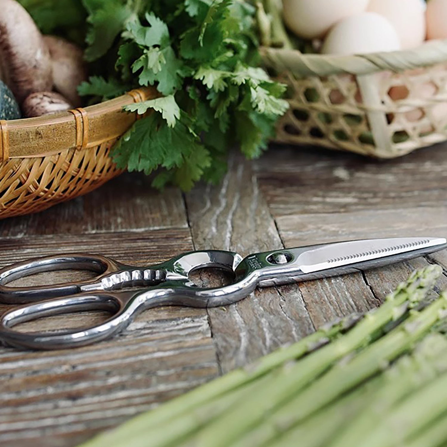 Ciseaux de cuisine multifonctions