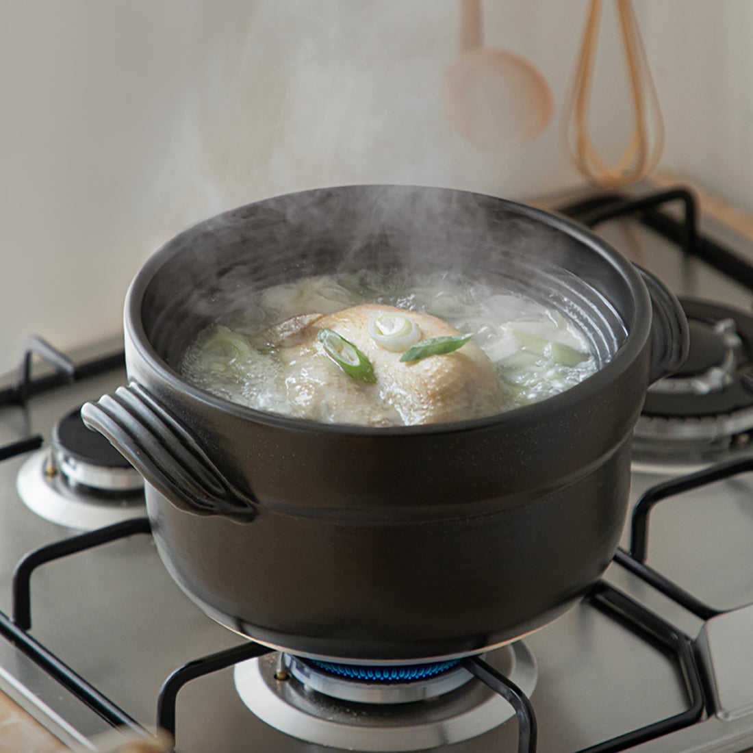 Donabe japonais Banko-yaki à double couvercle