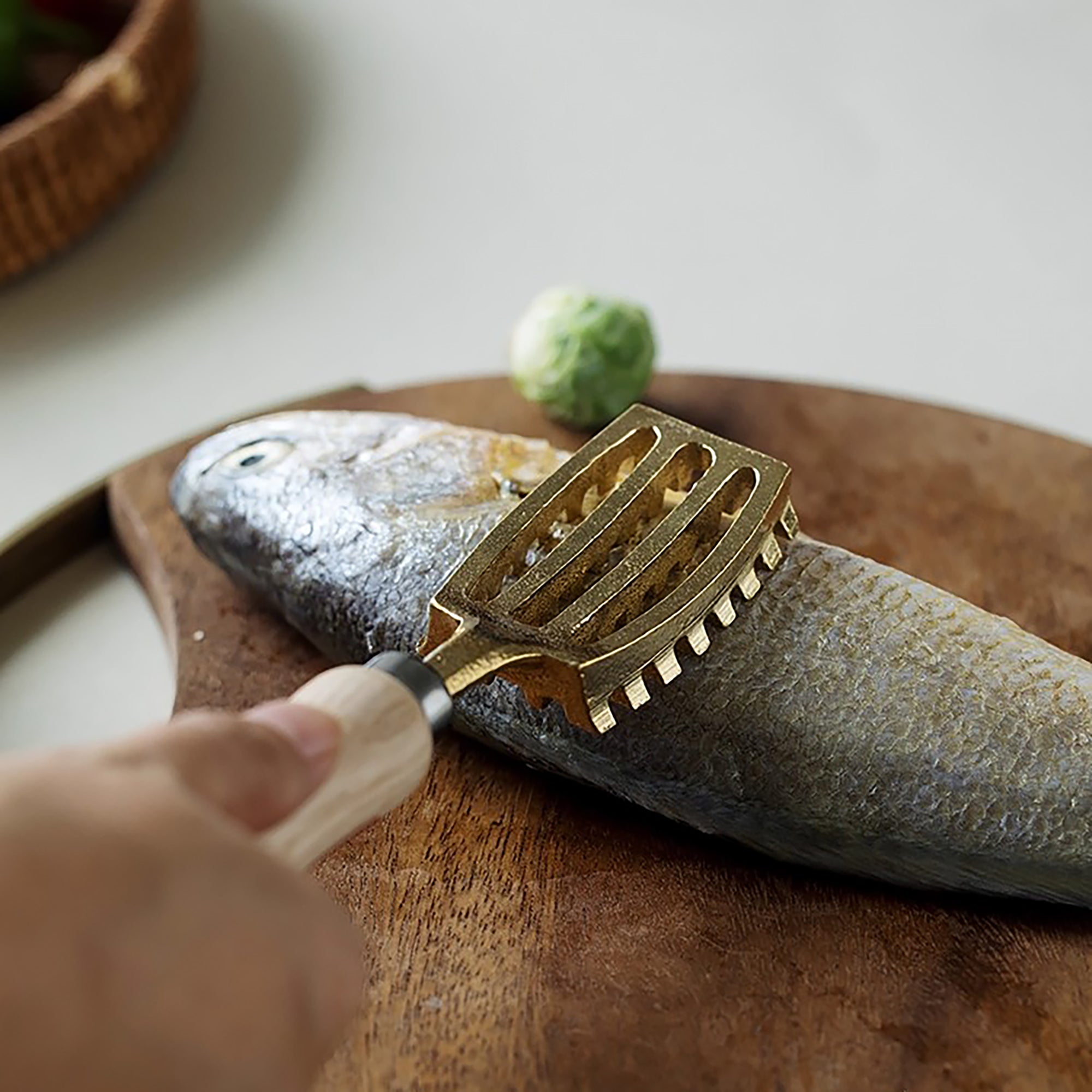 Écailleuse en laiton japonais