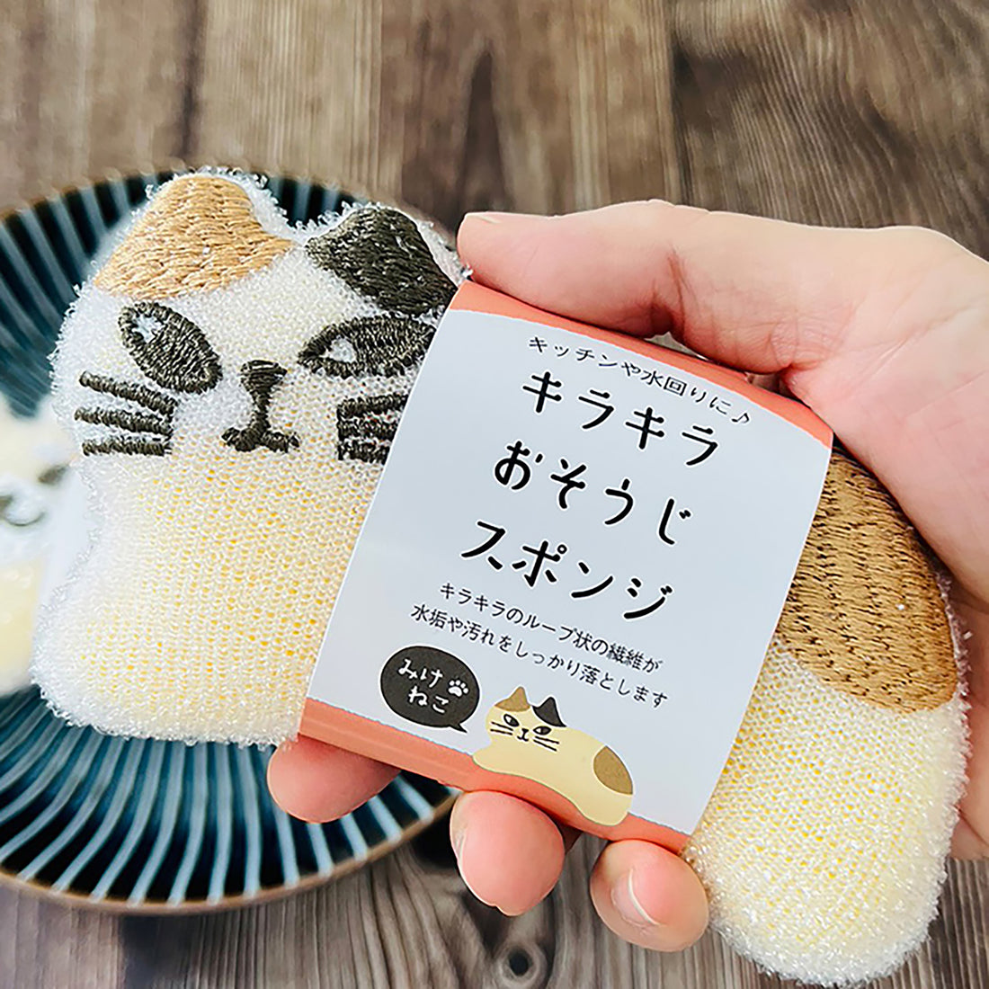 Éponge vaisselle japonaise DELICO
