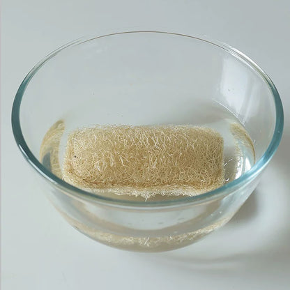 Éponge vaisselle en luffa naturel Shimoyama 