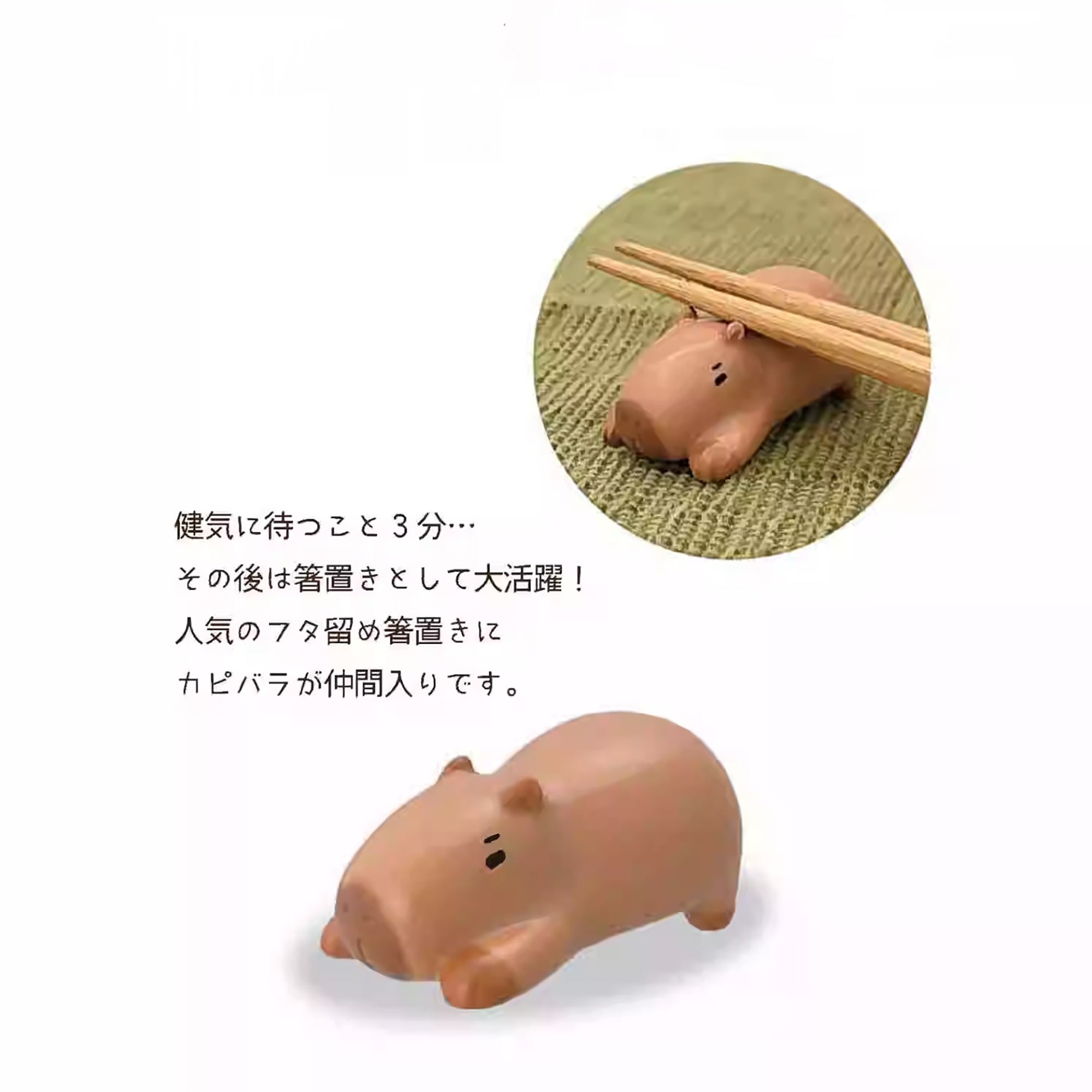 Mug DECOLE motif capybara au tonneau