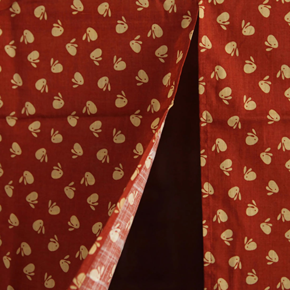 Noren japonais en coton avec design semi-transparent à deux pans