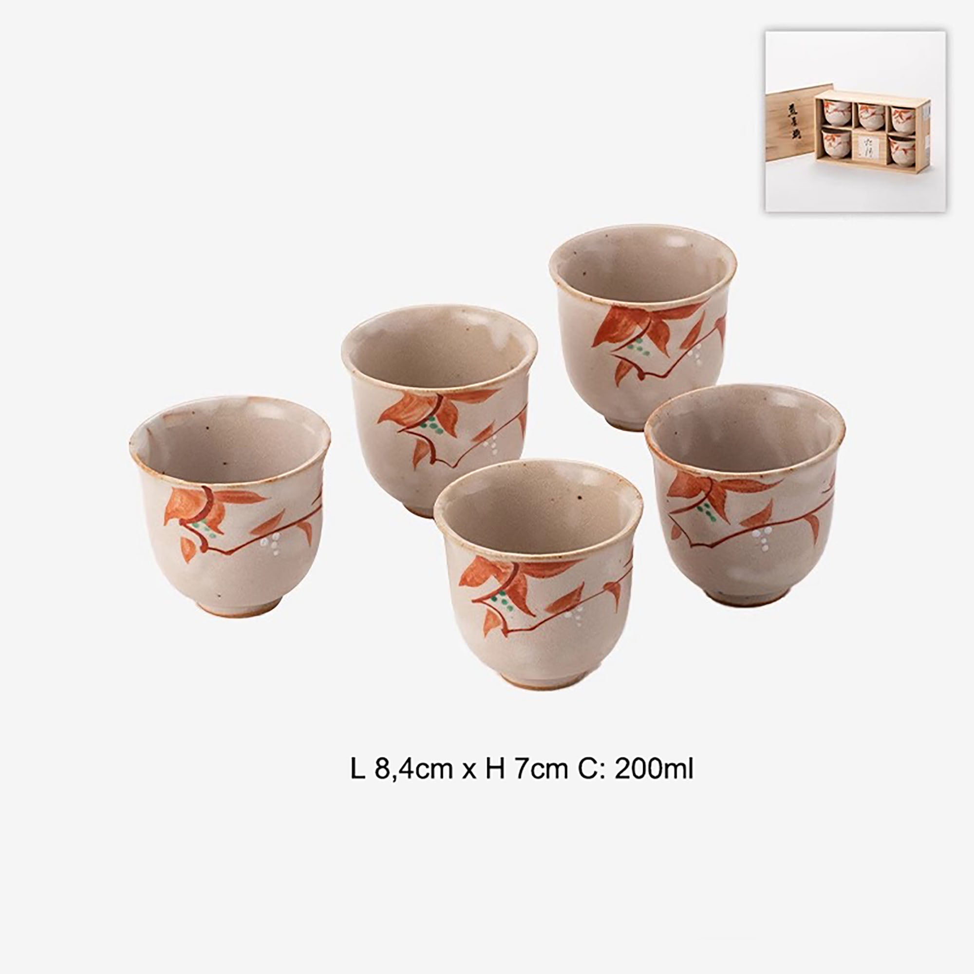 Ensemble de tasses à thé de Zoshi Kiln