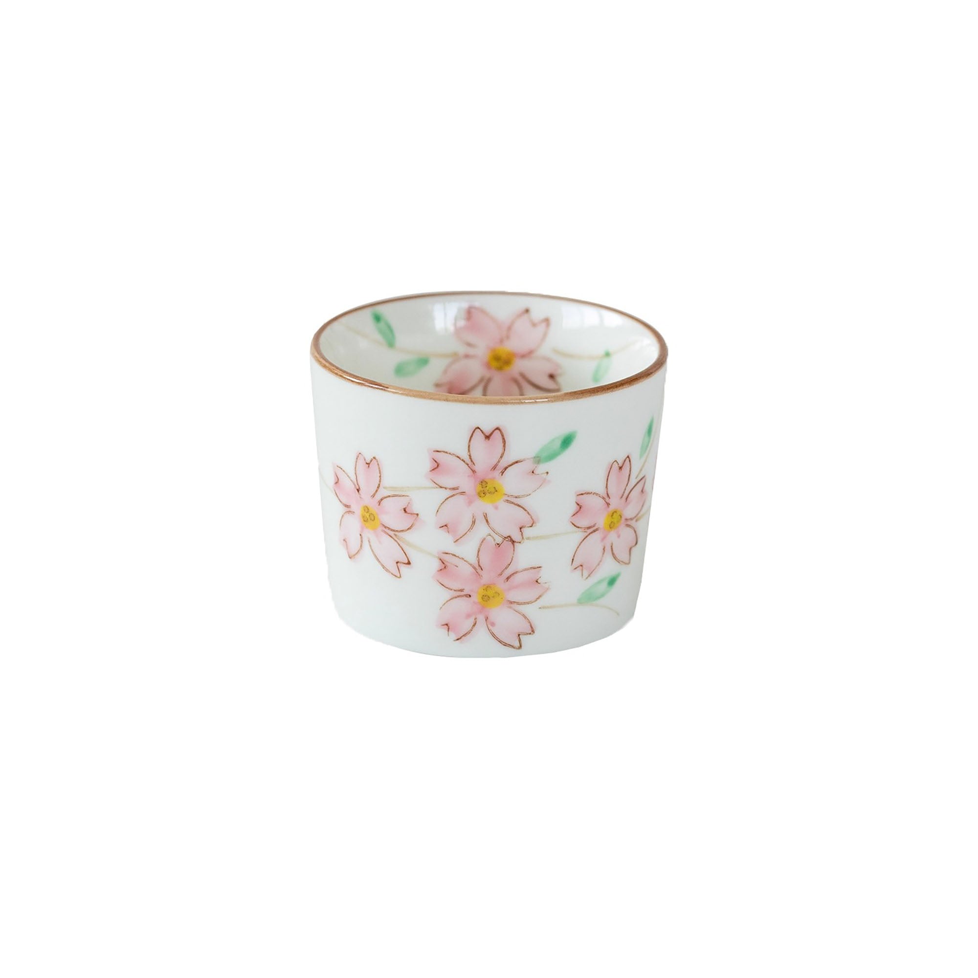 Kyusu Teekanne und Tasse aus Minoyaki-Keramik